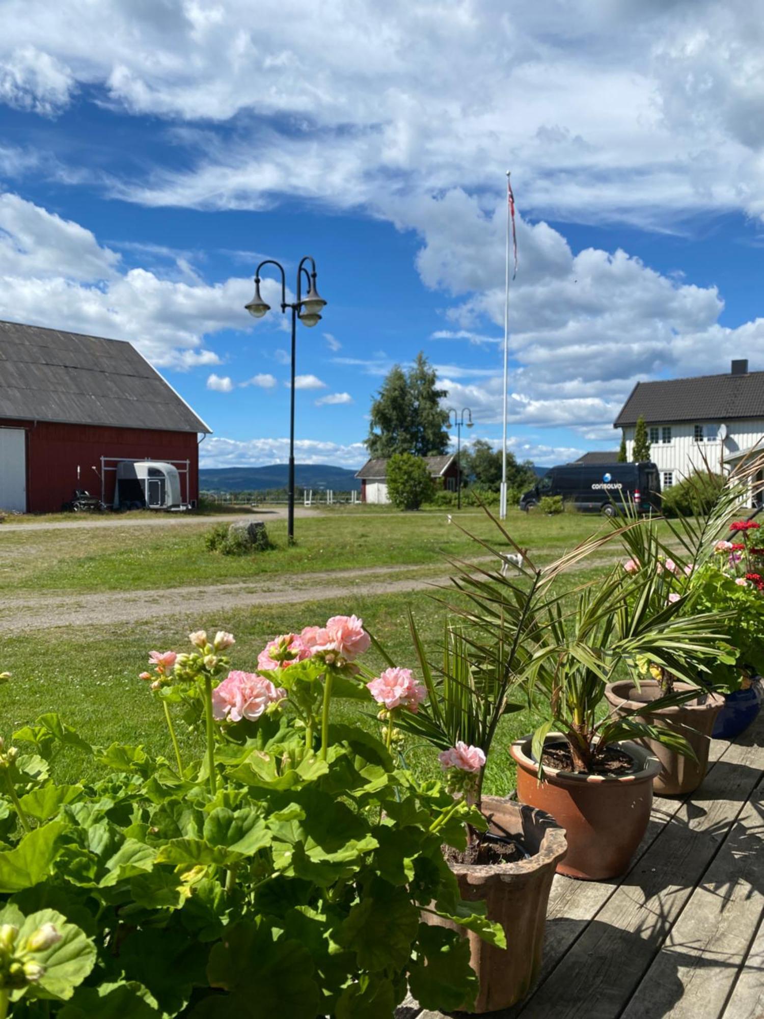 Sundby Fjordhestgard Villa Garder Exteriör bild