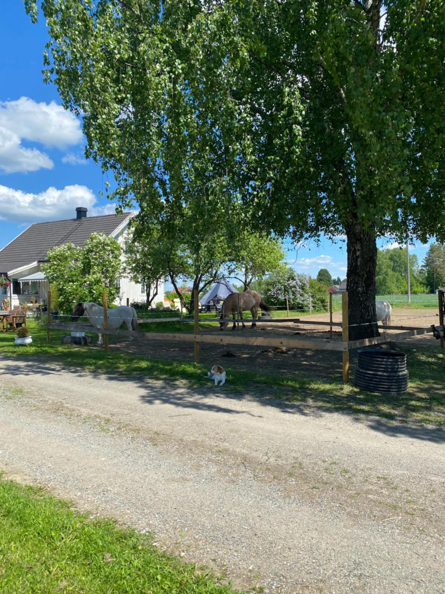 Sundby Fjordhestgard Villa Garder Exteriör bild