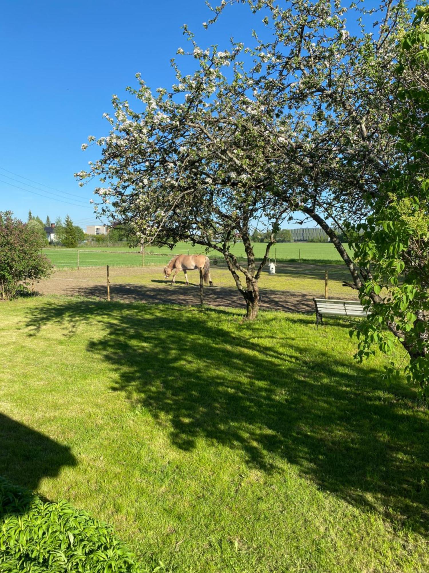 Sundby Fjordhestgard Villa Garder Exteriör bild
